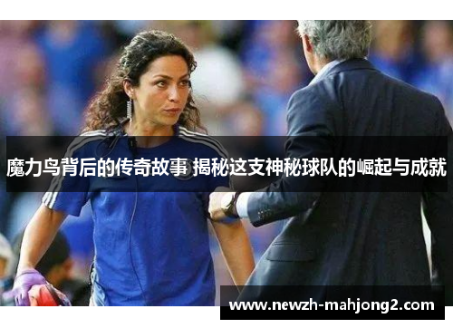 魔力鸟背后的传奇故事 揭秘这支神秘球队的崛起与成就