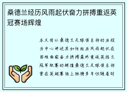 桑德兰经历风雨起伏奋力拼搏重返英冠赛场辉煌 桑德兰经历风雨起伏奋力拼搏重返英冠赛场辉煌