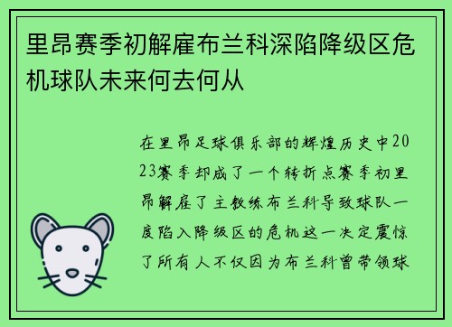 里昂赛季初解雇布兰科深陷降级区危机球队未来何去何从 里昂赛季初解雇布兰科深陷降级区危机球队未来何去何从